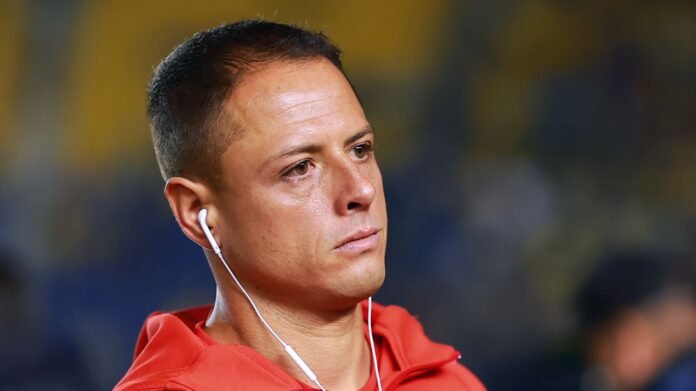 تشيتشاريتو ينهار باكيًا: قصة مؤثرة لقرد صغير تلامس قلبه