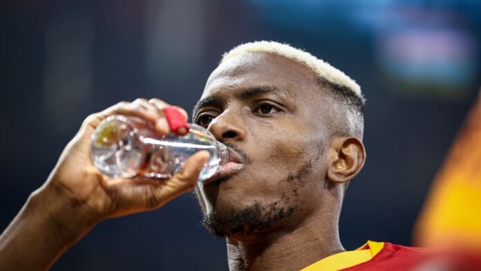 بايرن ميونخ يفضل فلاهوفيتش على أوسيمين لخلافة كين